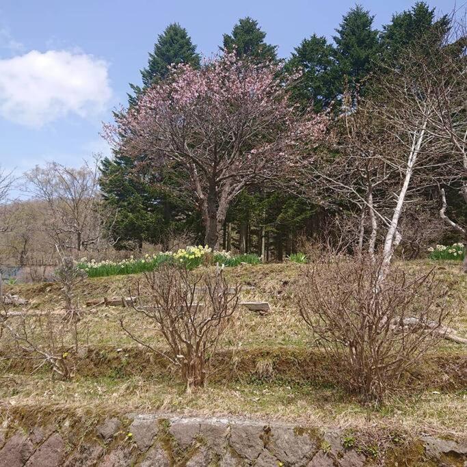 Noboribetsu No Mori Villa Buitenkant foto