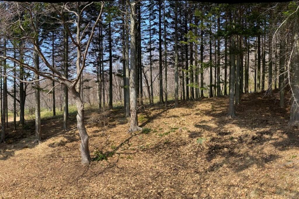Noboribetsu No Mori Villa Buitenkant foto